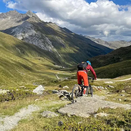 Alpinpark Mit Swimmingpool, Sonnenloggia Und Kamin - Grossglockner Matrei דירה